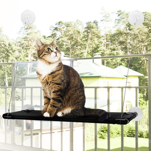 Cat Window Perch Hammock Cat Bed Holds (Up to 60lbs)